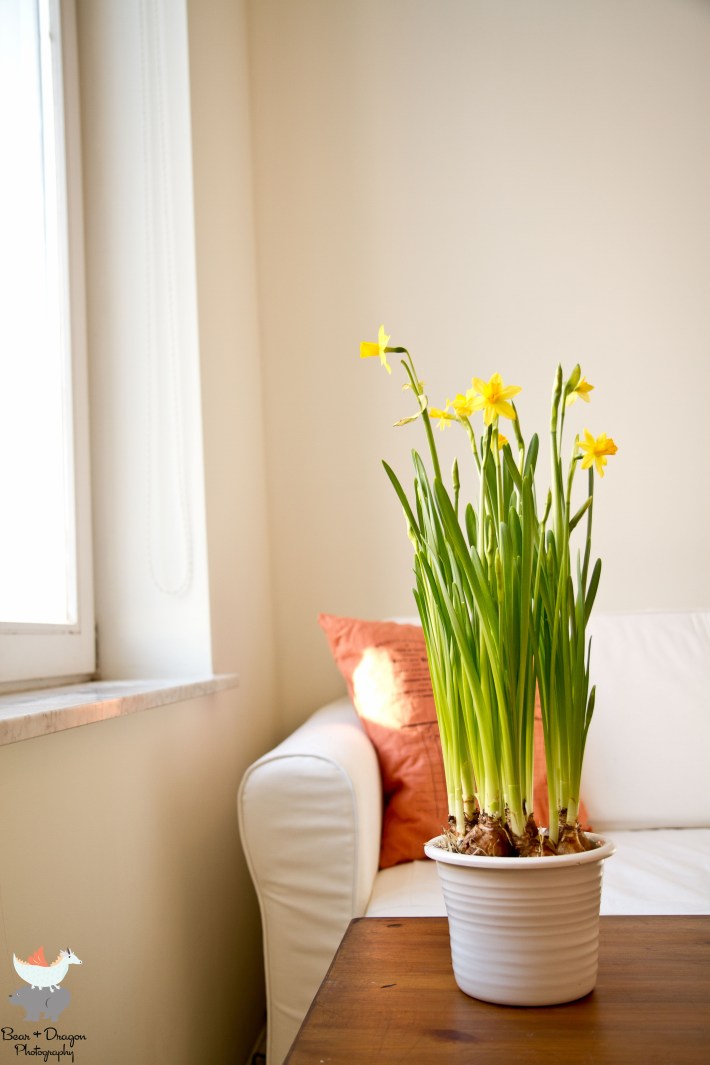 Glorious light makes laughter bright Image