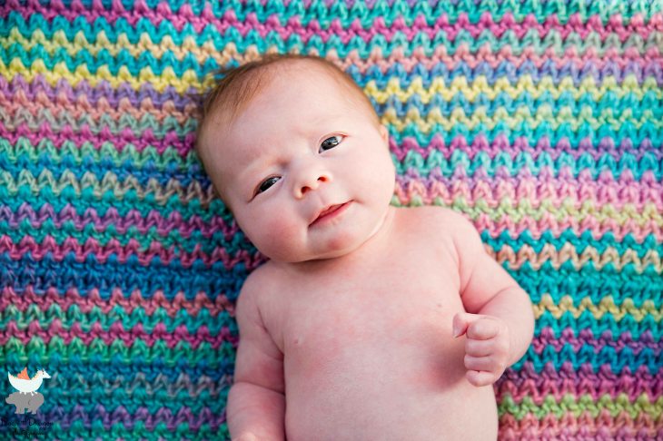 In the rainbow Image