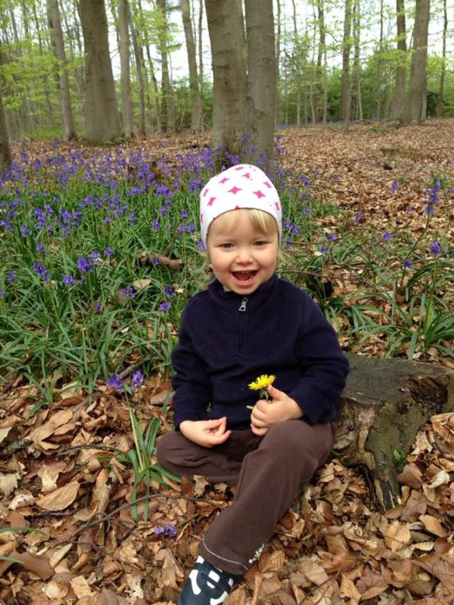 Everything's coming up bluebells (thank you iPhone)