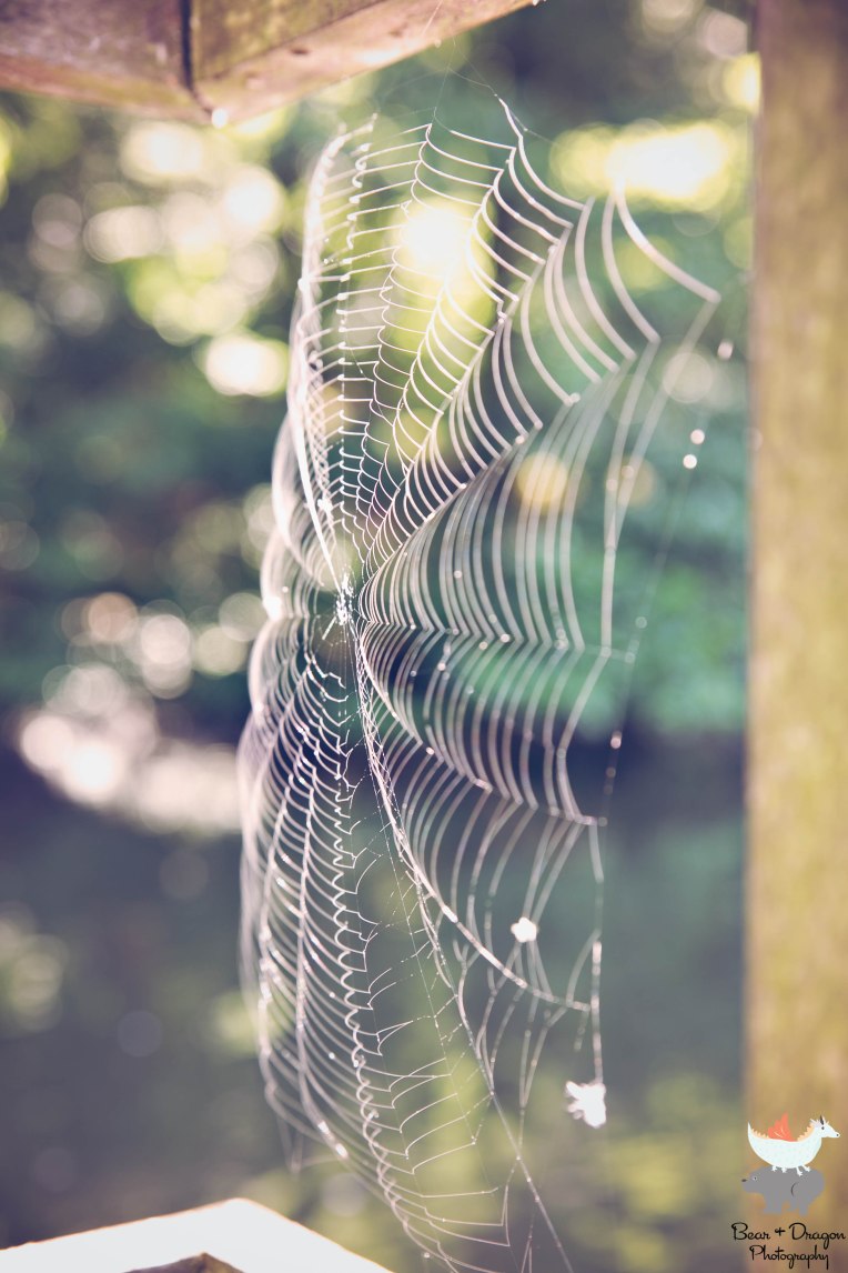 Sweet breeze, lazy days