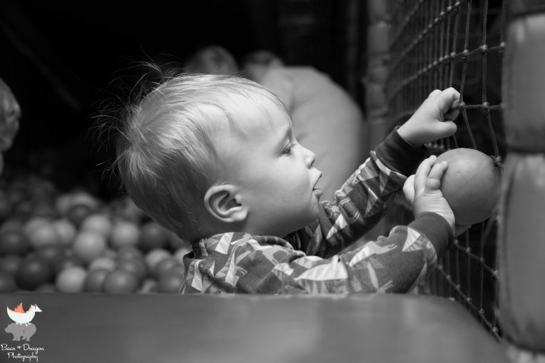 The baby area highlight