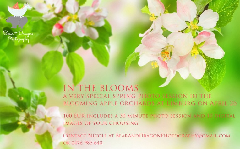 In the blooms spring mini session