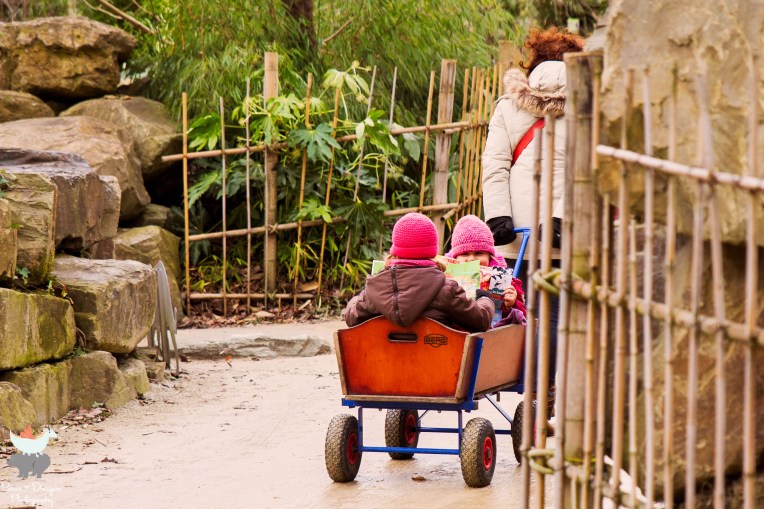 Wagon: the only way to travel