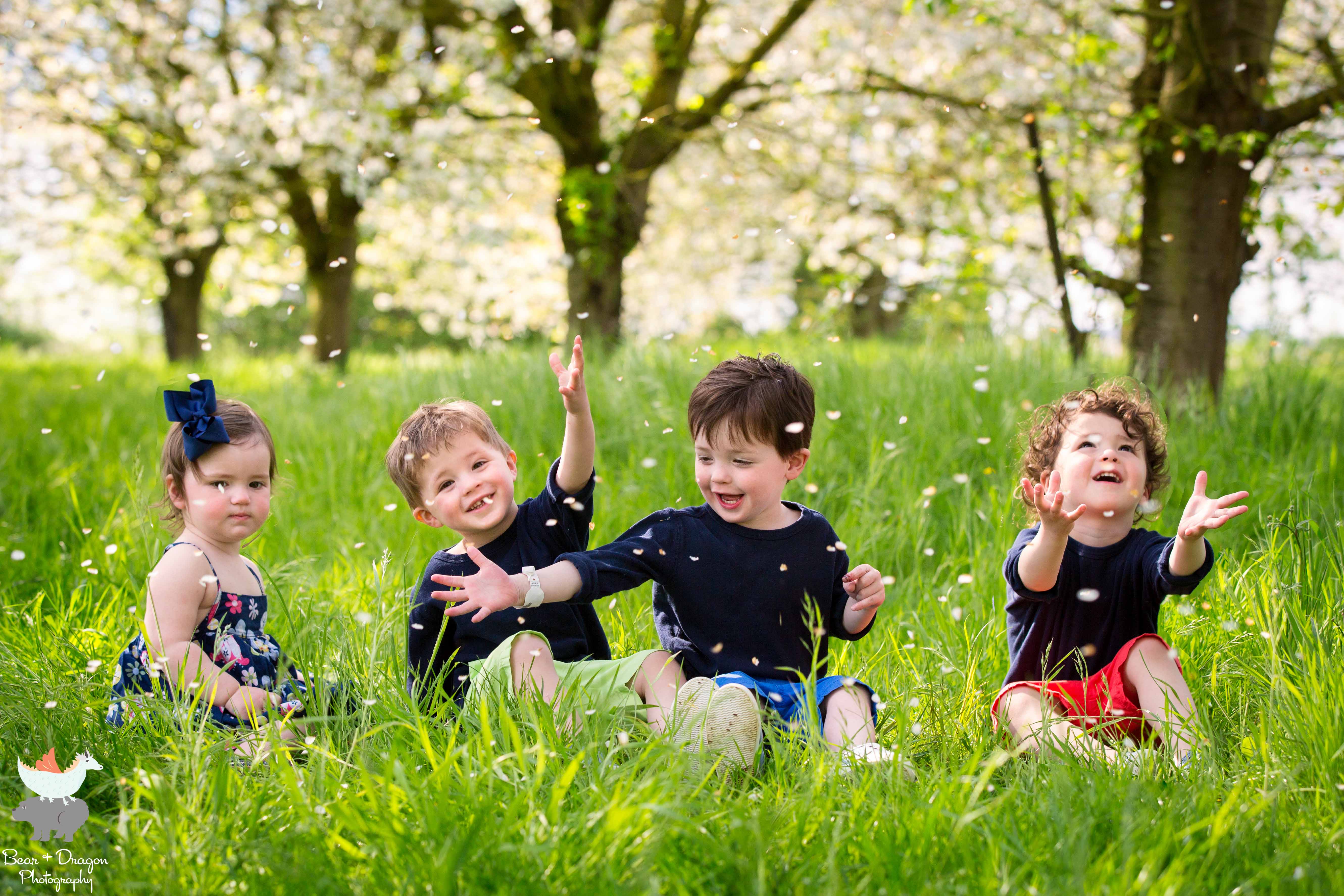 apple-blossoms-blog-10