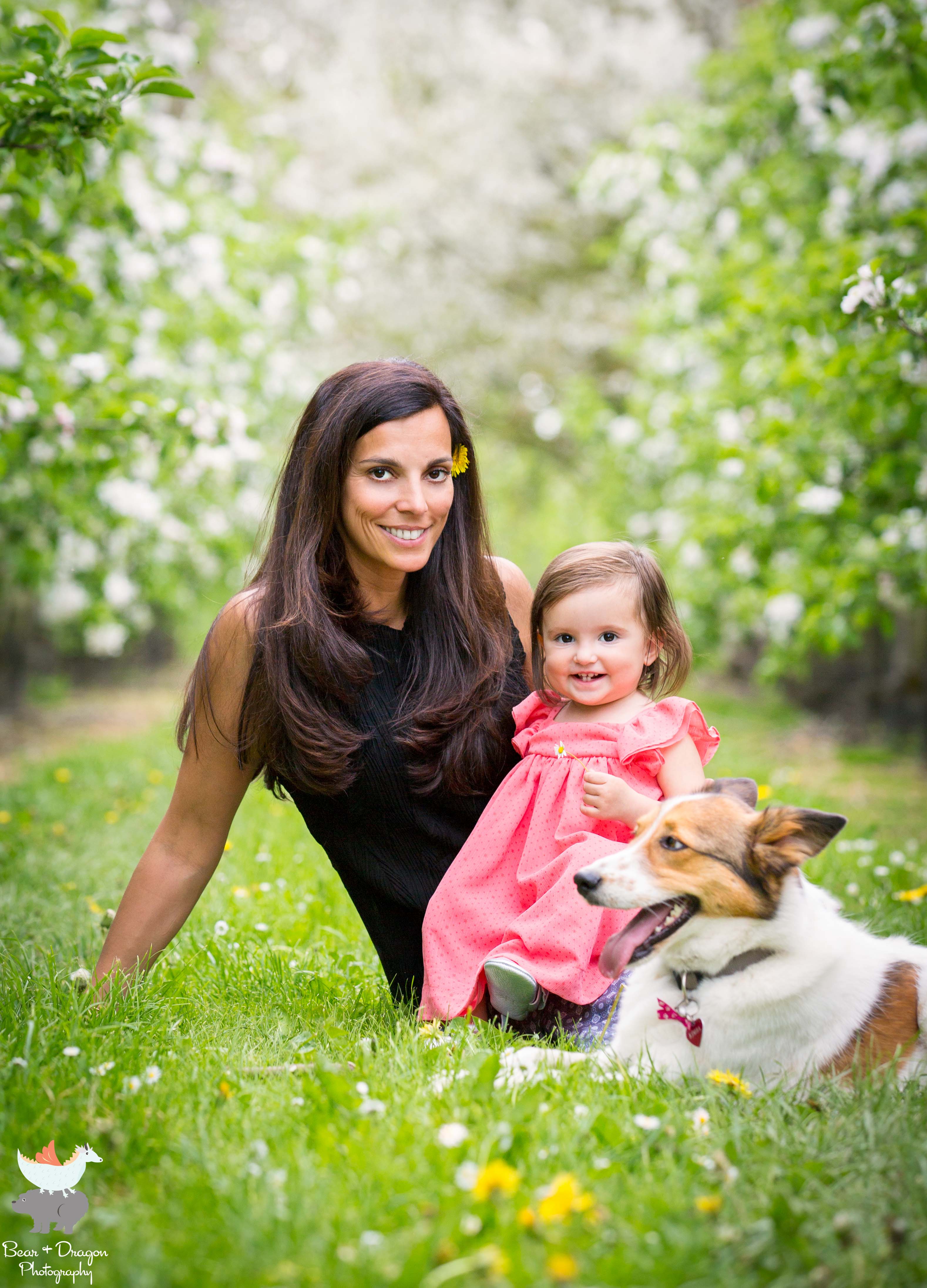 apple-blossoms-blog-13