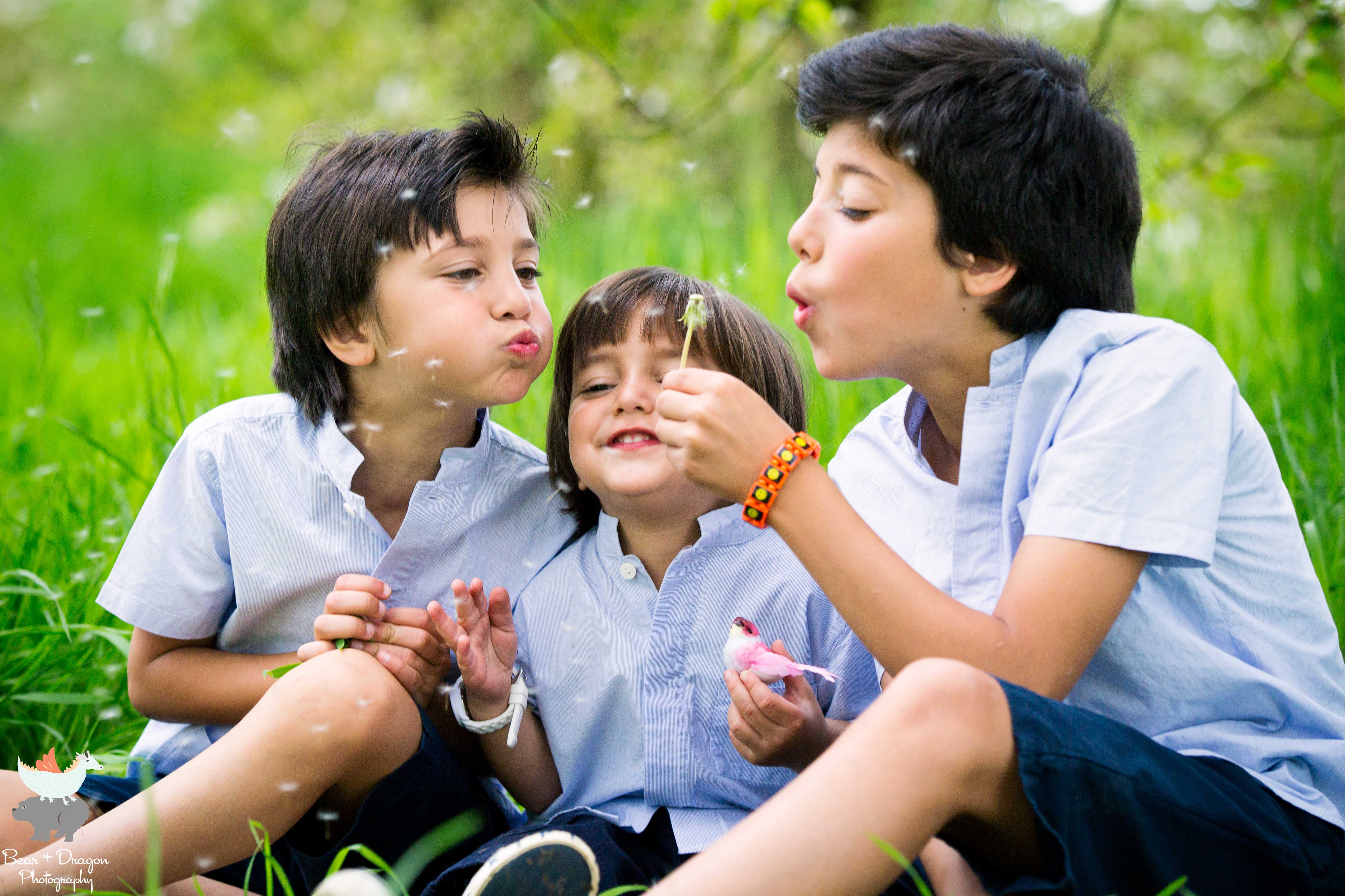 apple-blossoms-blog-14