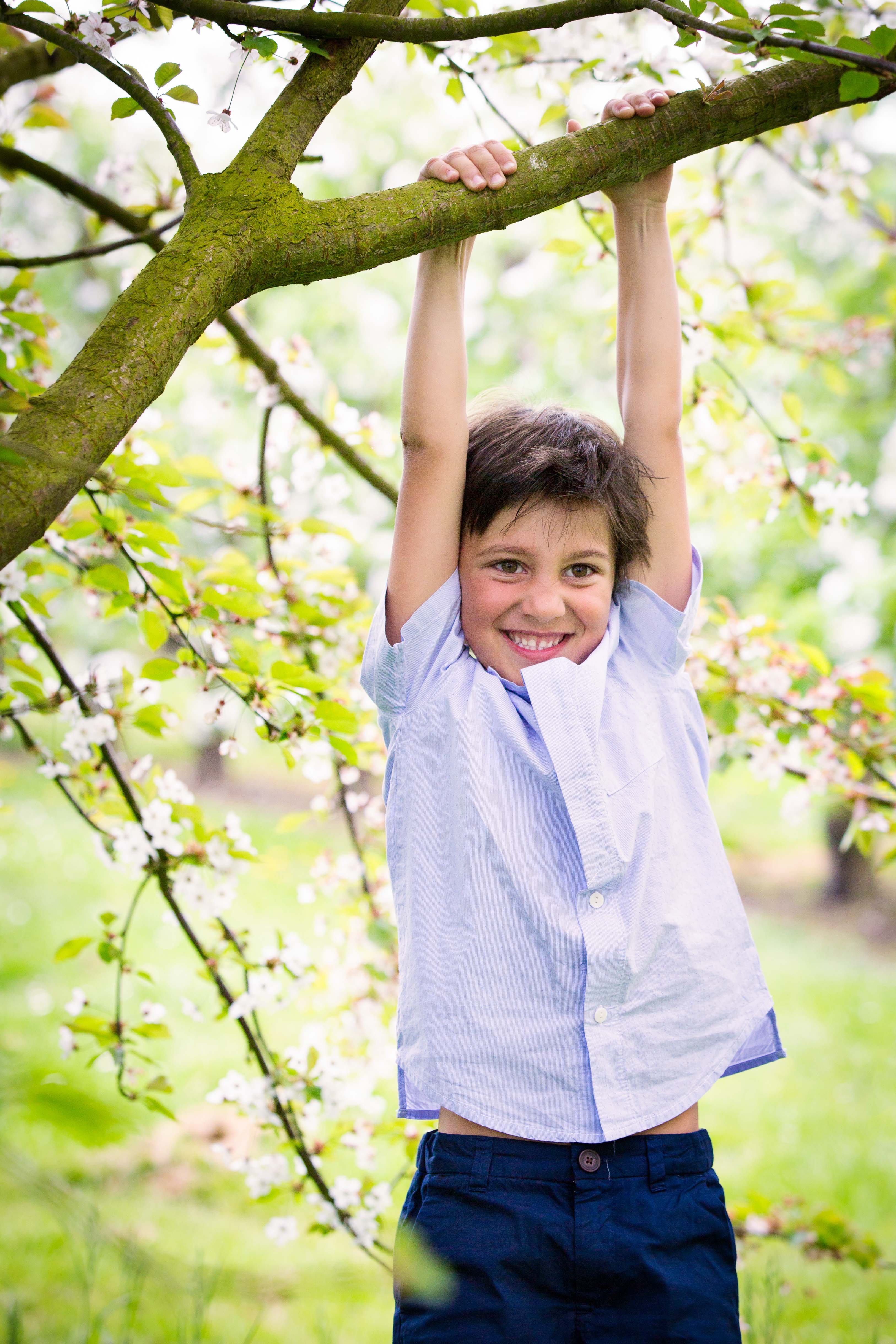 apple-blossoms-blog-16