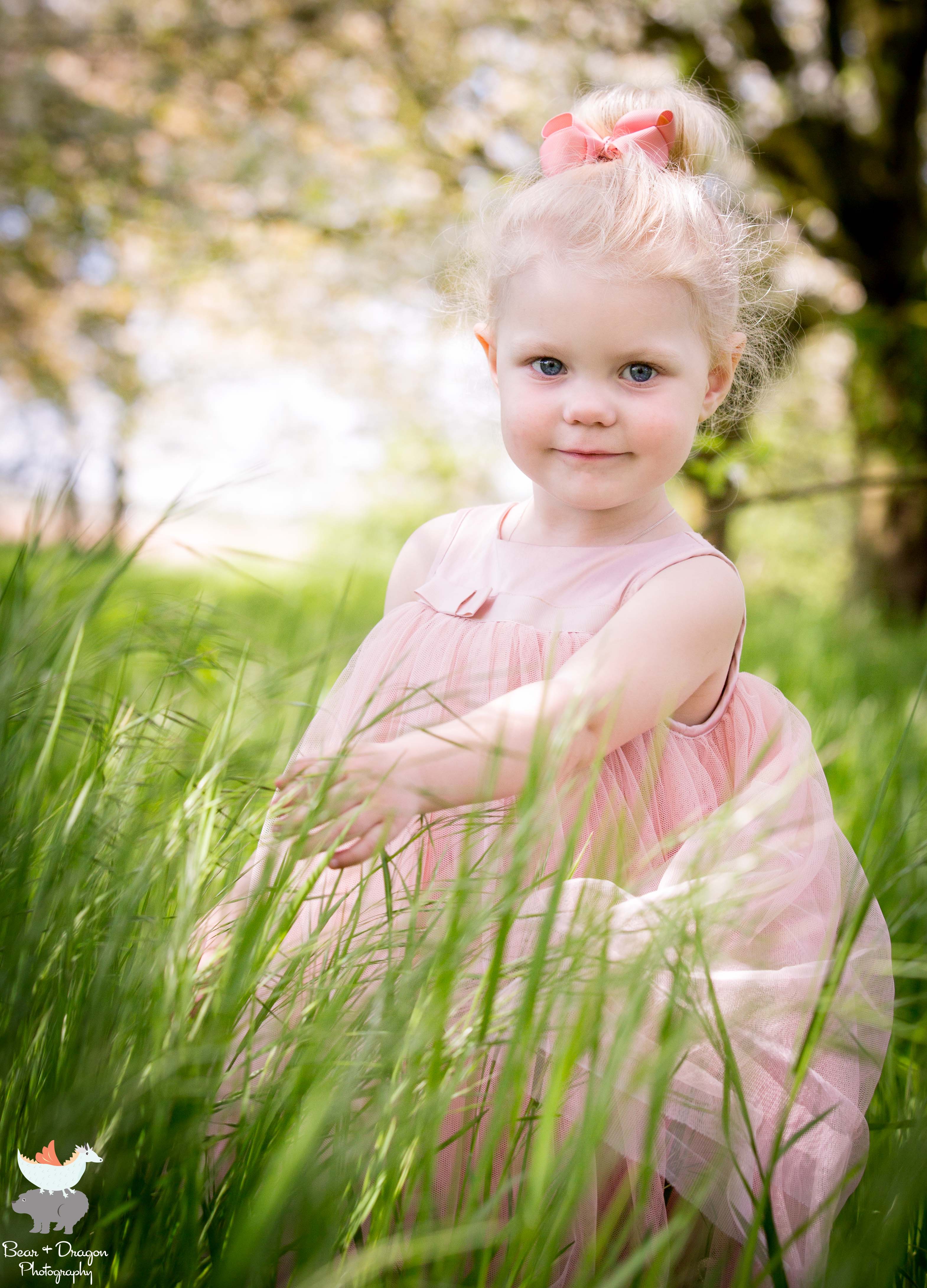 apple-blossoms-blog-5