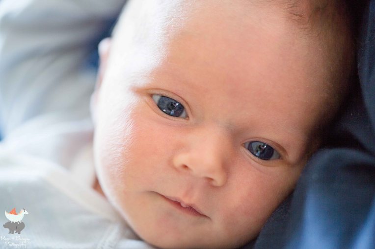 welcome-to-the-world-jasper-2