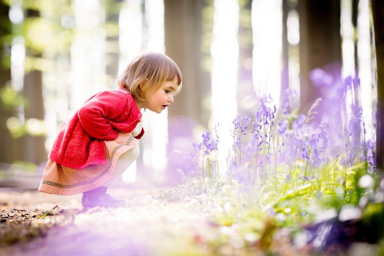 Siada el Ramly bluebells for websharing-4