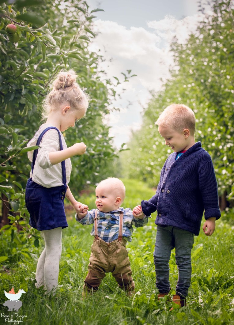 Apple Harvest Blog-10