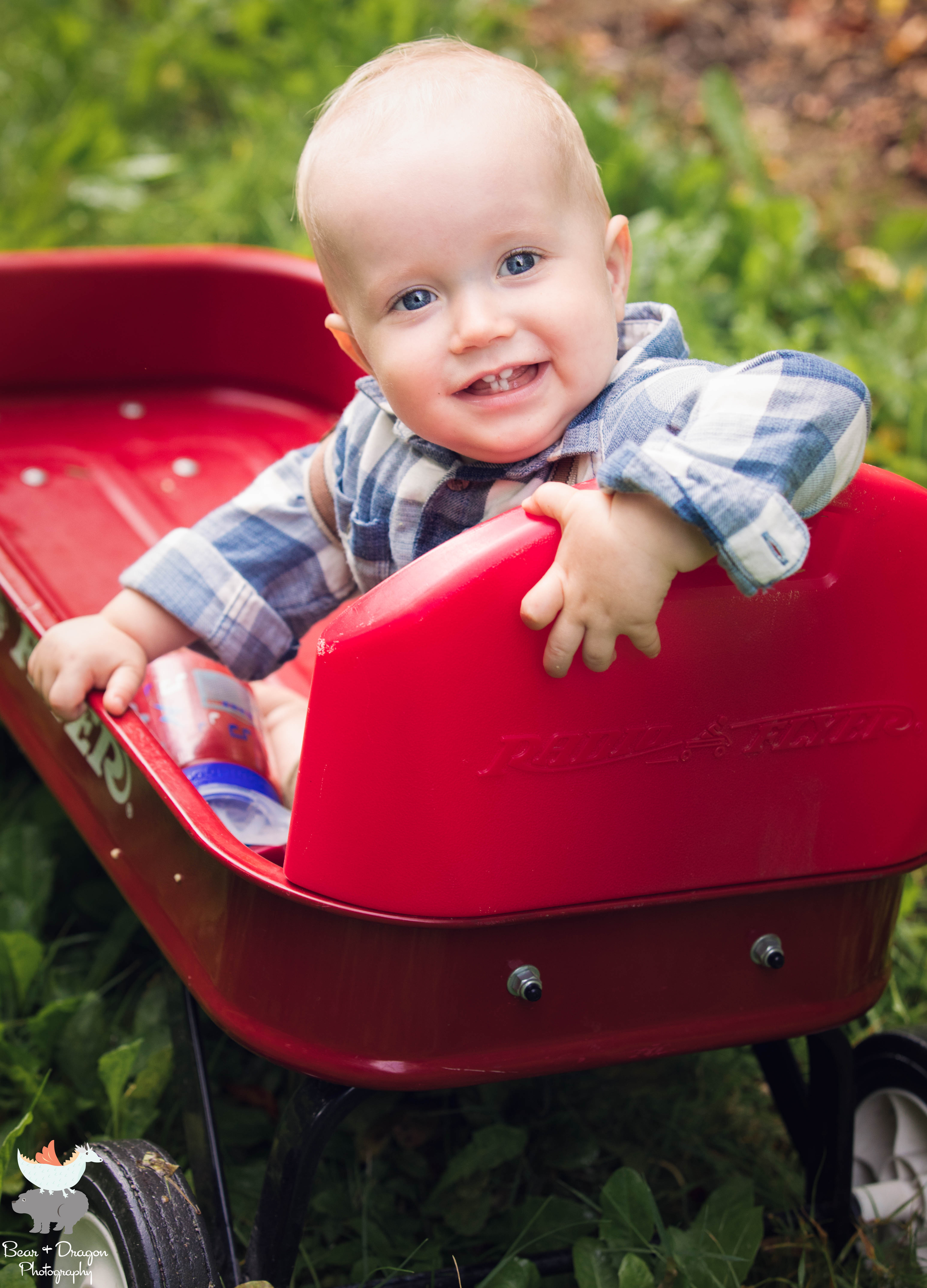 Apple Harvest Blog-12