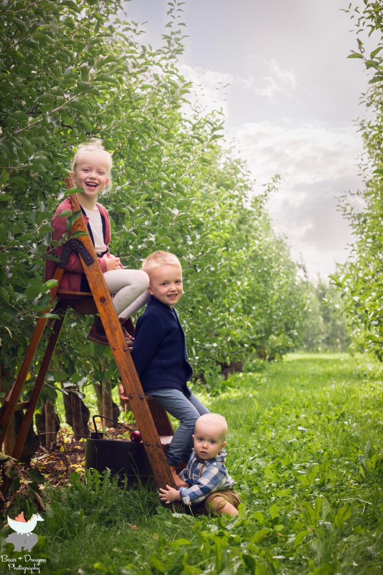 Apple Harvest Blog-13