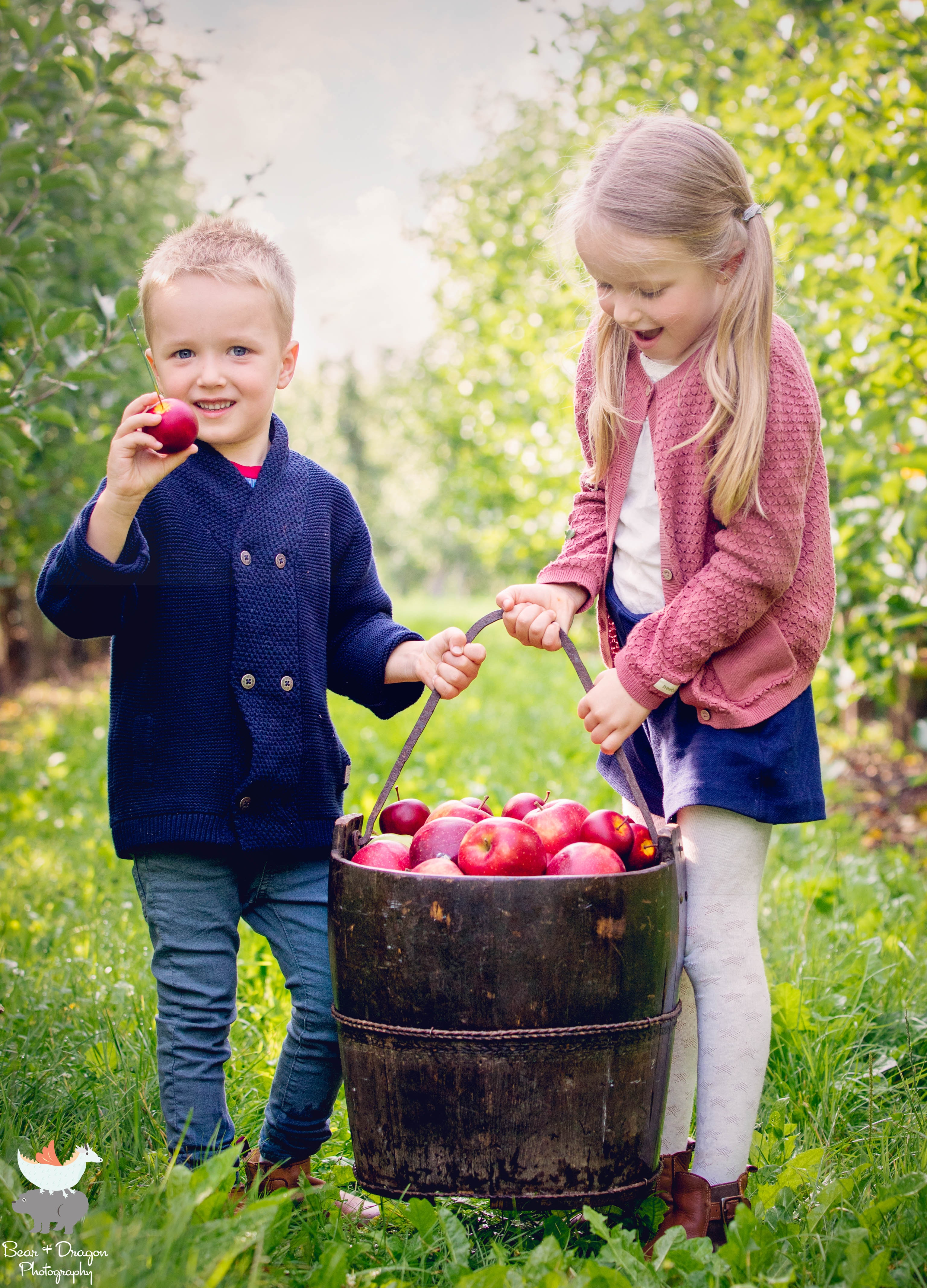 Apple Harvest Blog-4