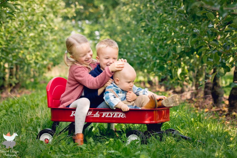 Apple Harvest Blog-5