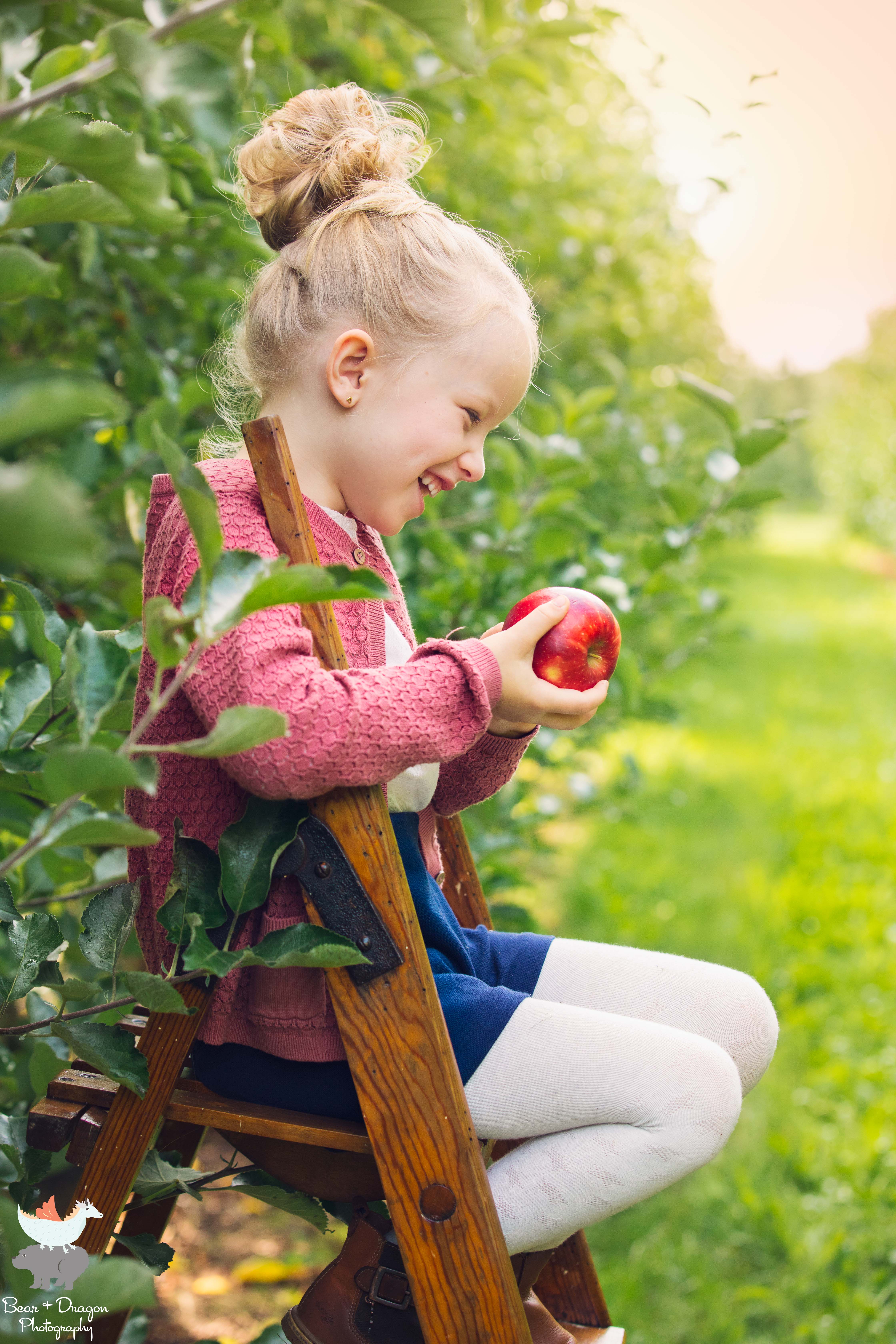 Apple Harvest Blog-6