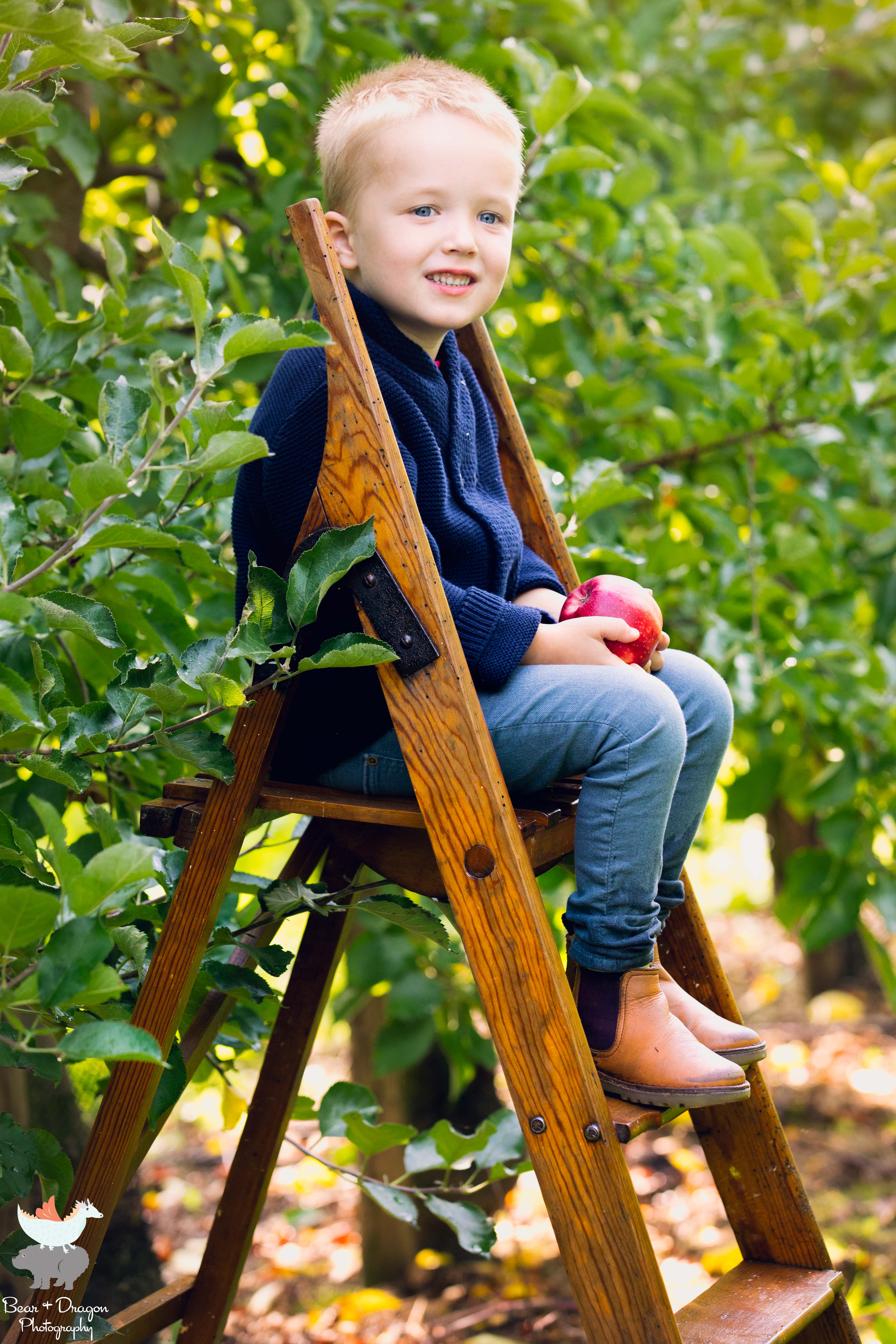 Apple Harvest Blog-7