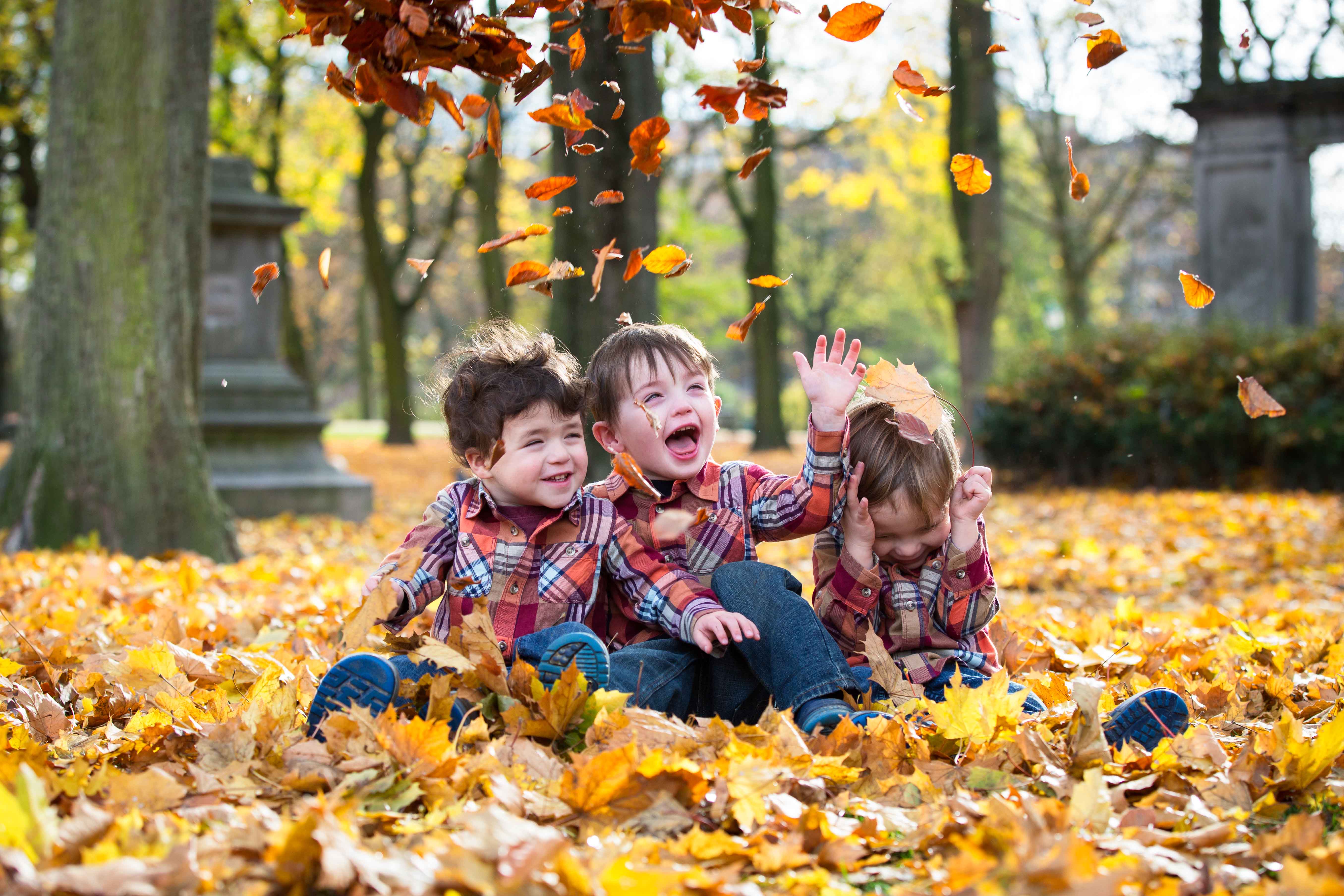 Sarah Conners Sea of Leaves for websharing-4