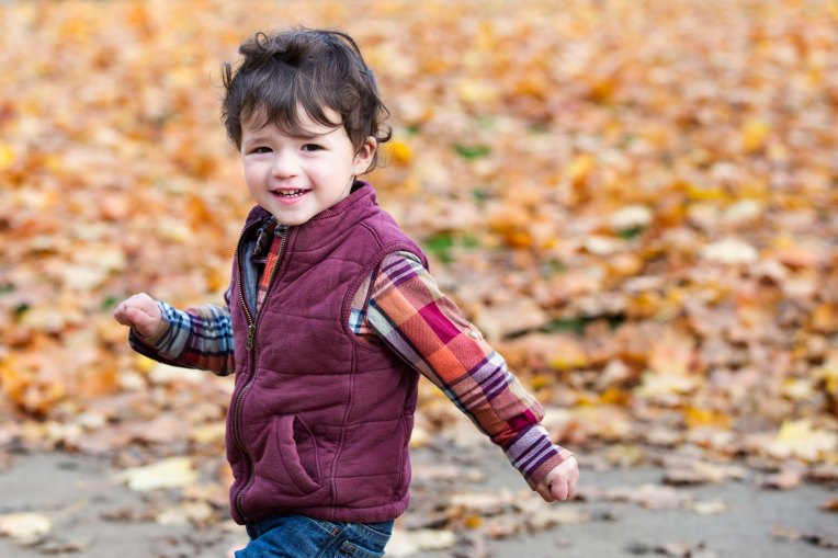 Sarah Conners Sea of Leaves for websharing