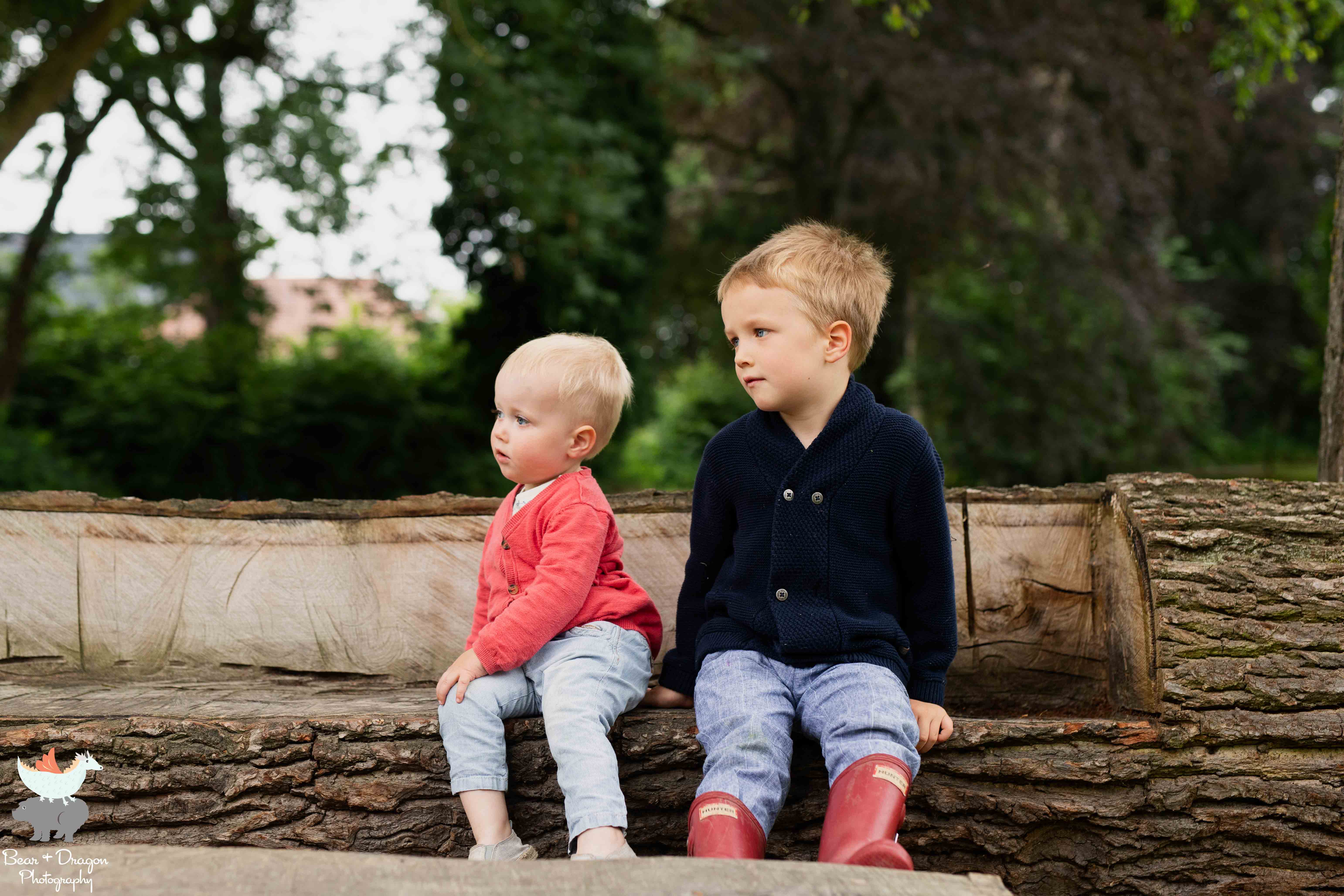 Adventures in the rose garden blog-13