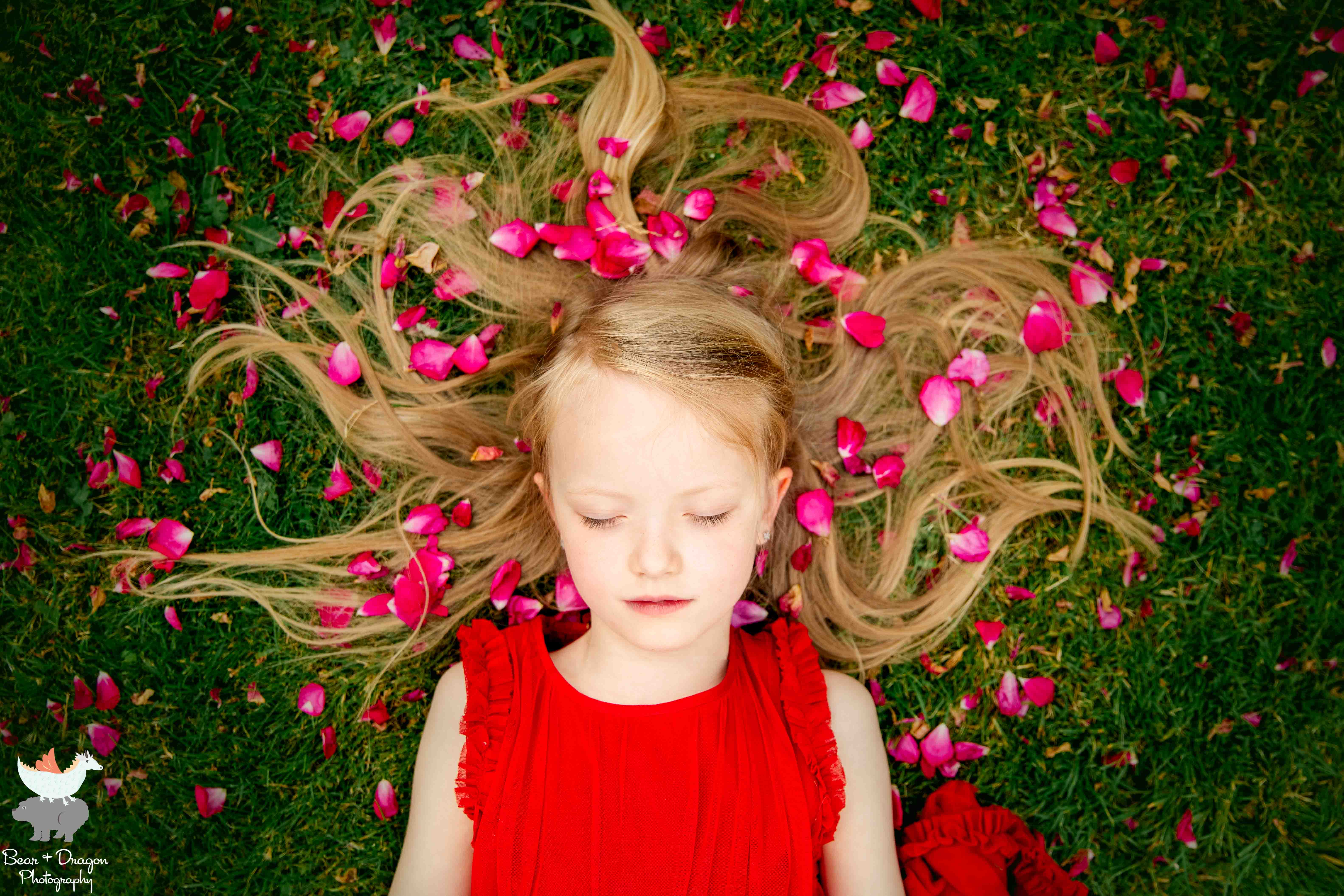 Adventures in the rose garden blog-8