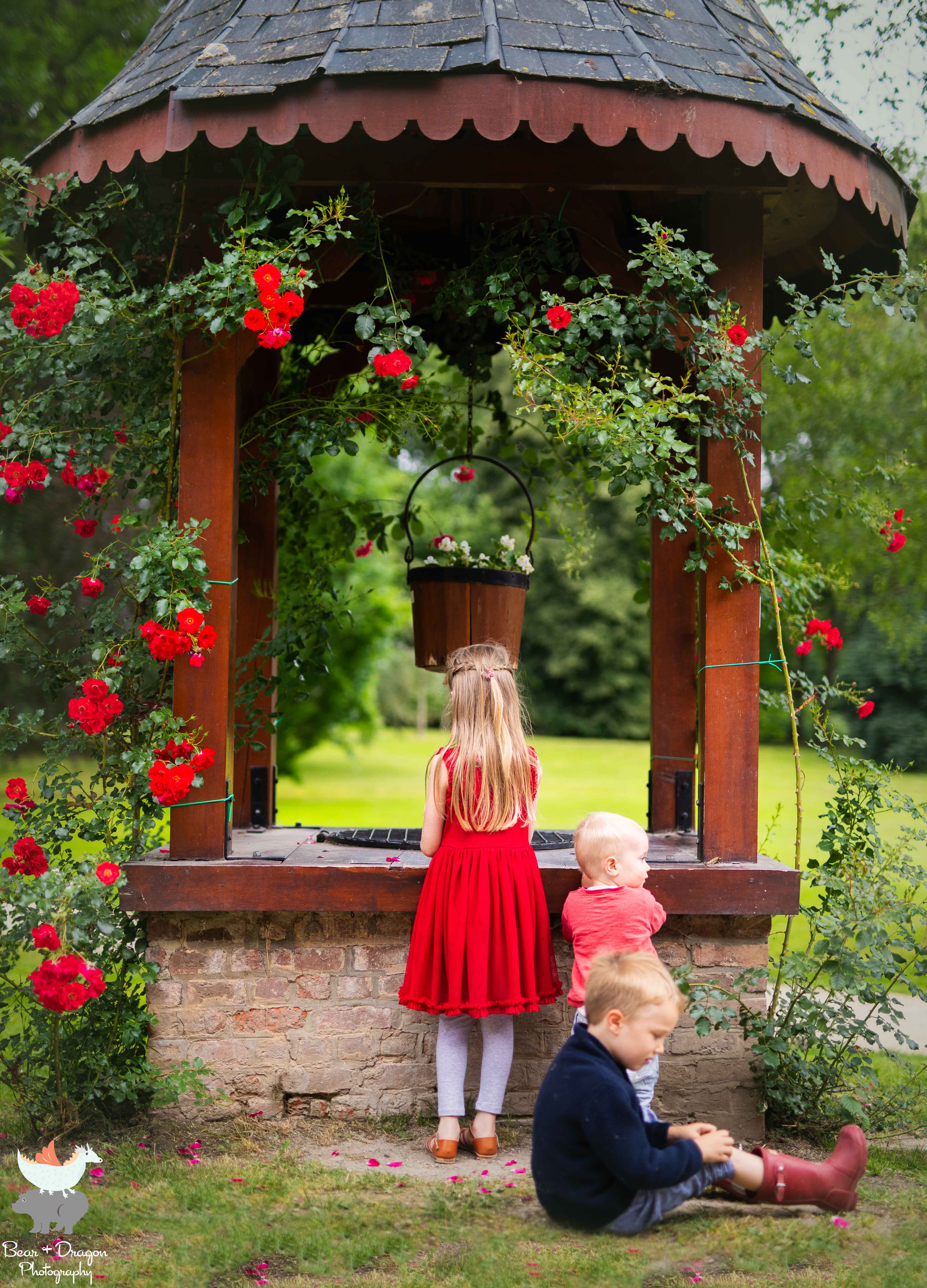 Adventures in the rose garden blog-9